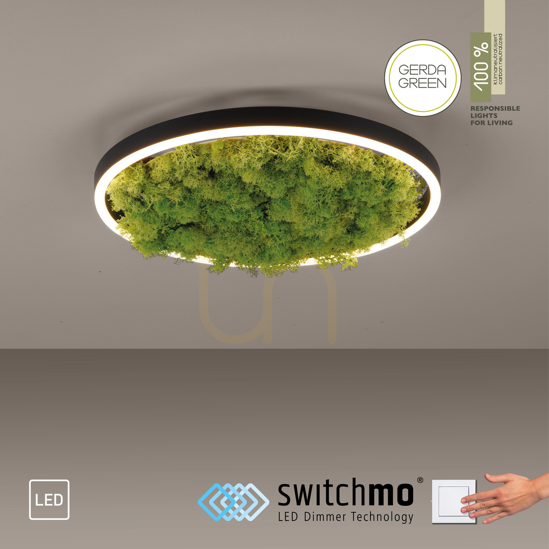 Aussicht GREEN RITUS 15391-66 Deckenleuchte, beige, 1xLED GREEN RITUS 15391-66 Deckenleuchte, beige, 1xLED