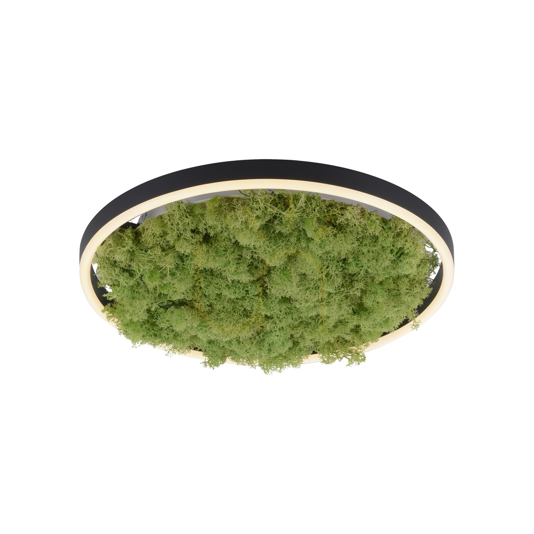 Aussicht GREEN RITUS 15391-66 Deckenleuchte, beige, 1xLED GREEN RITUS 15391-66 Deckenleuchte, beige, 1xLED