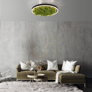GREEN RITUS 15391-66 Deckenleuchte, beige, 1xLED 2 GREEN RITUS 15391-66 Deckenleuchte, beige, 1xLED small 2