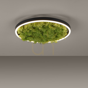 GREEN RITUS 15391-66 Deckenleuchte, beige, 1xLED 4 GREEN RITUS 15391-66 Deckenleuchte, beige, 1xLED small 4