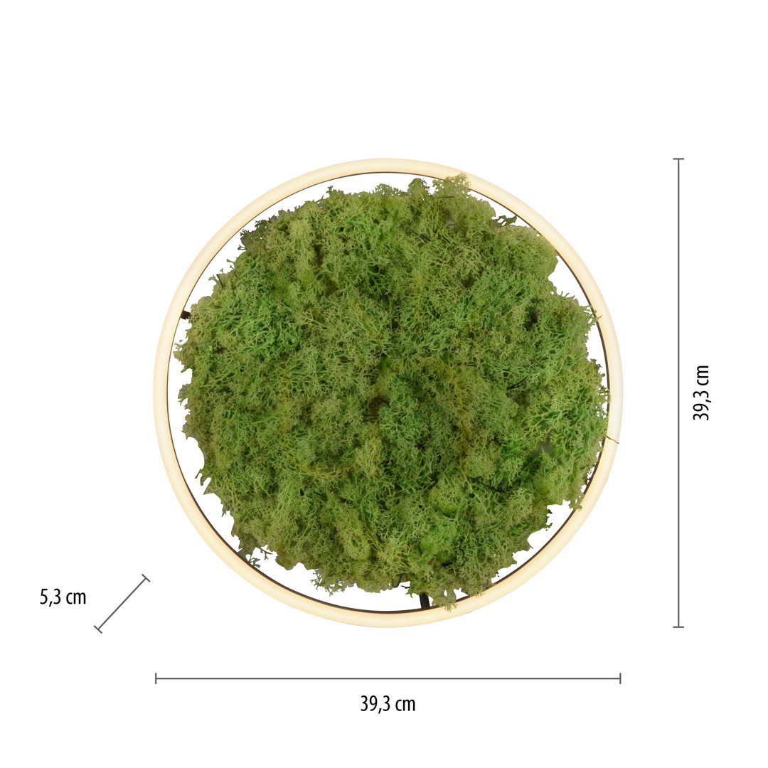 Vorschau GREEN RITUS 15391-66 Deckenleuchte, beige, 1xLED GREEN RITUS 15391-66 Deckenleuchte, beige, 1xLED