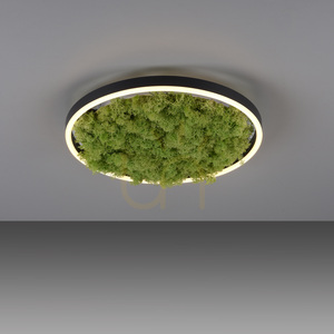 GREEN RITUS 15391-66 Deckenleuchte, beige, 1xLED 9 GREEN RITUS 15391-66 Deckenleuchte, beige, 1xLED small 9