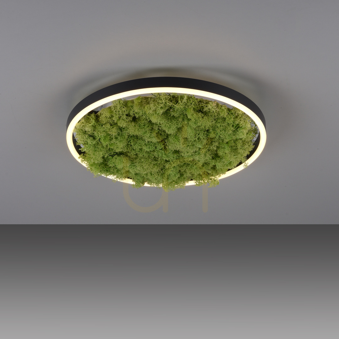 Zeige GREEN RITUS 15391-66 Deckenleuchte, beige, 1xLED GREEN RITUS 15391-66 Deckenleuchte, beige, 1xLED