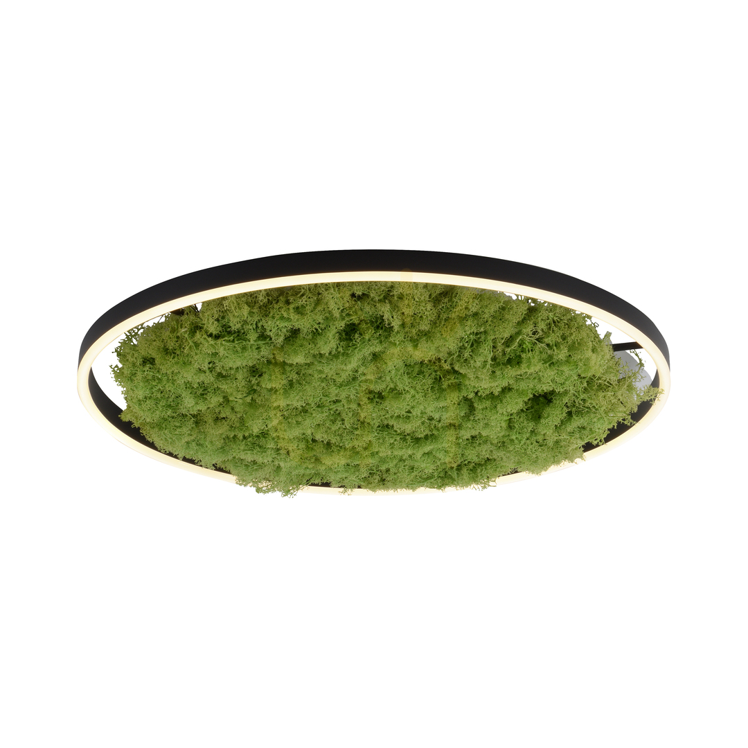 Aussicht GREEN RITUS 15392-66 Beige Deckenleuchte, 1xLED GREEN RITUS 15392-66 Beige Deckenleuchte, 1xLED