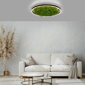 GREEN RITUS 15392-66 Beige Deckenleuchte, 1xLED 2 GREEN RITUS 15392-66 Beige Deckenleuchte, 1xLED small 2