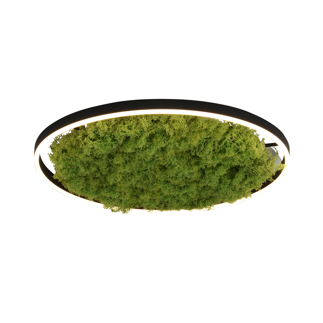 Prüfen GREEN RITUS 15392-66 Beige Deckenleuchte, 1xLED GREEN RITUS 15392-66 Beige Deckenleuchte, 1xLED