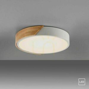 BILA 14288-16 Schwarze Deckenleuchte, 1xLED 11 BILA 14288-16 Schwarze Deckenleuchte, 1xLED small 11