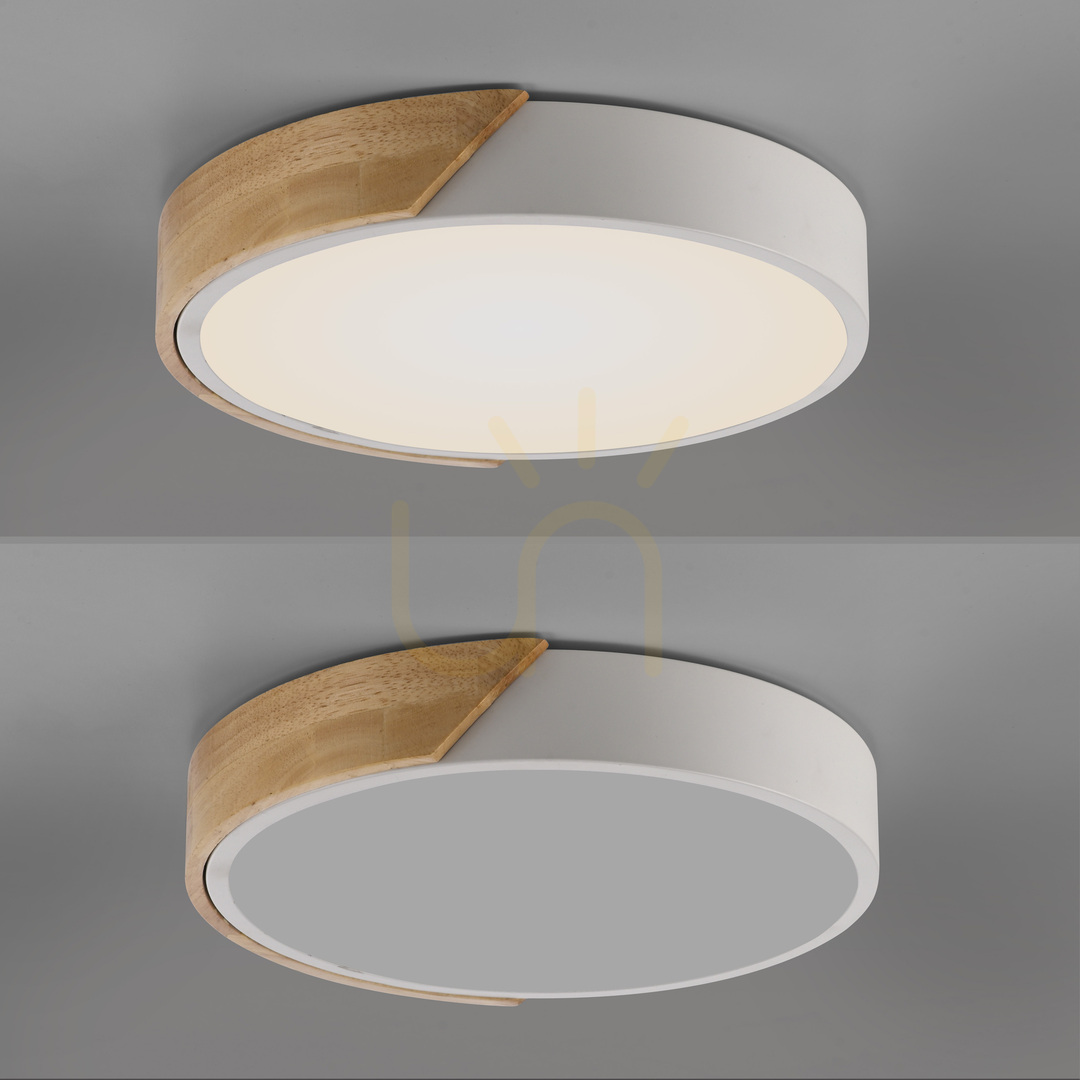 Anzeige BILA 14288-16 Schwarze Deckenleuchte, 1xLED BILA 14288-16 Schwarze Deckenleuchte, 1xLED