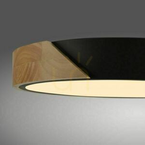 BILA 14288-18 Schwarze Deckenleuchte, 1xLED small 15