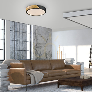BILA 14288-18 Schwarze Deckenleuchte, 1xLED small 2