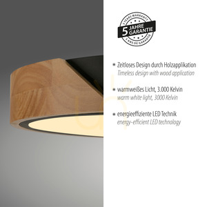 BILA 14288-18 Schwarze Deckenleuchte, 1xLED small 4