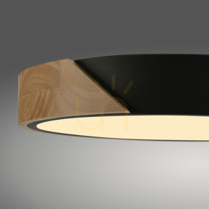 BILA 14288-18 Schwarze Deckenleuchte, 1xLED small 9