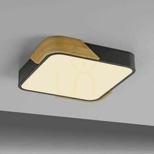 BILA 14289-18 Schwarze Deckenleuchte, 1xLED small 11