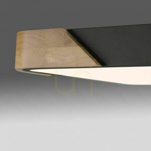 BILA 14289-18 Schwarze Deckenleuchte, 1xLED small 16