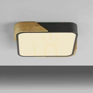 BILA 14289-18 Schwarze Deckenleuchte, 1xLED small 17