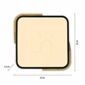 BILA 14289-18 Schwarze Deckenleuchte, 1xLED small 18