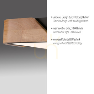 BILA 14289-18 Schwarze Deckenleuchte, 1xLED small 3