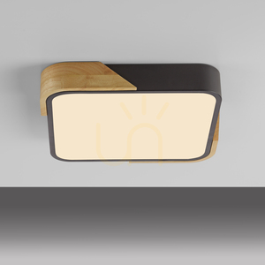 BILA 14289-18 Schwarze Deckenleuchte, 1xLED small 5