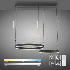 ESKO 2360-18 Schwarz 2xLED-Pendelleuchte small 12