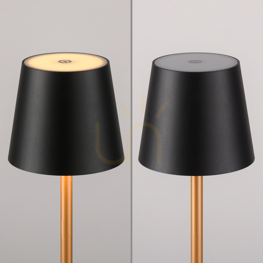 Prüfen EURIA 19250-68 Tischlampe, schwarz, 1xLED EURIA 19250-68 Tischlampe, schwarz, 1xLED