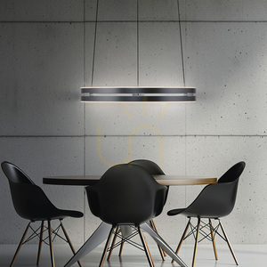 PURE E-LOOP 2550-15 Grau 2xLED-Pendelleuchte small 14