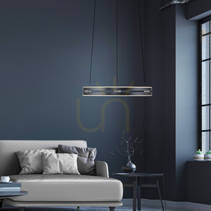 PURE E-LOOP 2550-15 Grau 2xLED-Pendelleuchte small 2