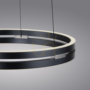 PURE E-LOOP 2550-15 Grau 2xLED-Pendelleuchte small 21