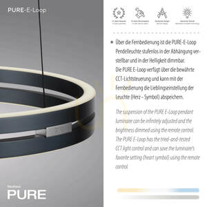 PURE E-LOOP 2550-15 Grau 2xLED-Pendelleuchte small 4