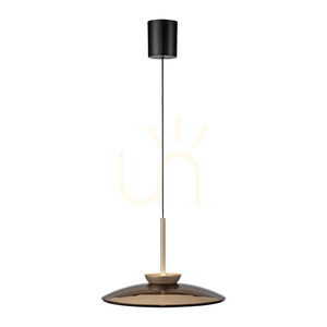 PURE E-MOON 2195-97 Braun 2xLED-Pendelleuchte 7 PURE E-MOON 2195-97 Braun 2xLED-Pendelleuchte small 7