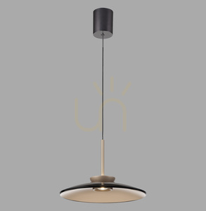 PURE E-MOON 2195-97 Braun 2xLED-Pendelleuchte 0 PURE E-MOON 2195-97 Braun 2xLED-Pendelleuchte small 0