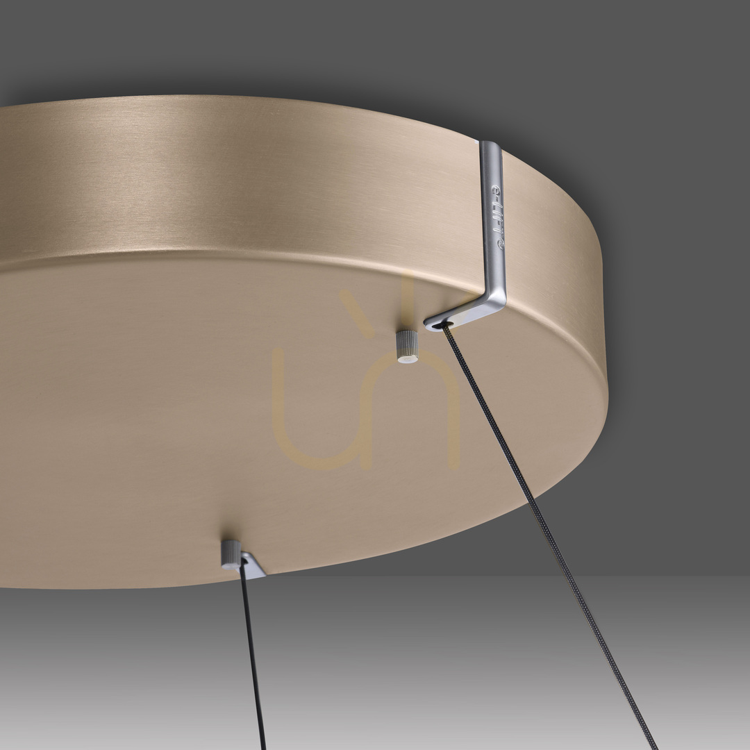 Prüfen PURE E-LOOP 2550-60 Pendelleuchte aus Messing mit 2 LEDs PURE E-LOOP 2550-60 Pendelleuchte aus Messing mit 2 LEDs