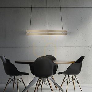 PURE E-LOOP 2550-60 Pendelleuchte aus Messing mit 2 LEDs 14 PURE E-LOOP 2550-60 Pendelleuchte aus Messing mit 2 LEDs small 14