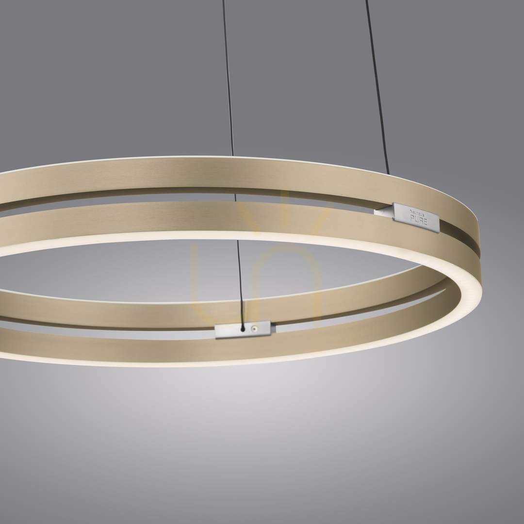 Vorschau PURE E-LOOP 2550-60 Pendelleuchte aus Messing mit 2 LEDs PURE E-LOOP 2550-60 Pendelleuchte aus Messing mit 2 LEDs