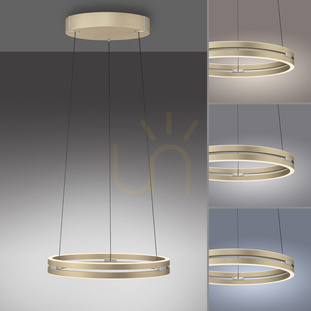 Prüfen PURE E-LOOP 2550-60 Pendelleuchte aus Messing mit 2 LEDs PURE E-LOOP 2550-60 Pendelleuchte aus Messing mit 2 LEDs