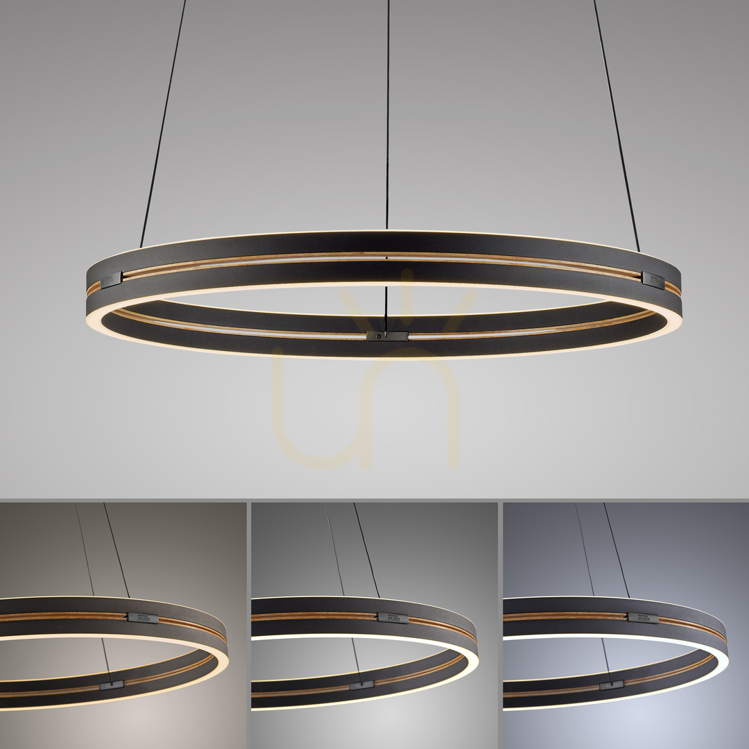 Prüfen PURE E-LOOP 2551-18 Schwarz 2xLED-Pendelleuchte PURE E-LOOP 2551-18 Schwarz 2xLED-Pendelleuchte
