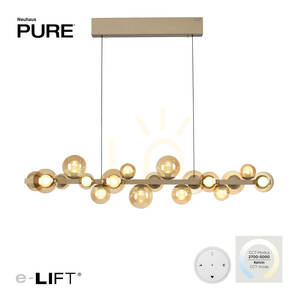 PURE E-POPUP 2557-97 Gold 18xLED Pendelleuchte 1 PURE E-POPUP 2557-97 Gold 18xLED Pendelleuchte small 1