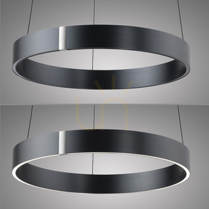 PURE E-CLIPSE 2560-15 Grau 2xLED-Pendelleuchte small 13