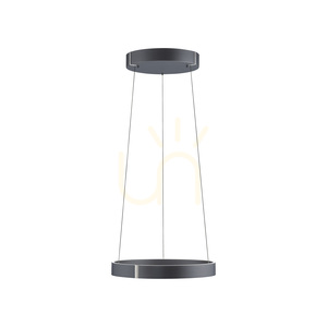 PURE E-CLIPSE 2560-15 Grau 2xLED-Pendelleuchte small 9