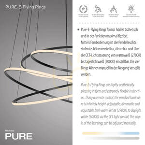 PURE E-FLYING RINGS 2566-15 Grau 1xLED-Hängeleuchte 4 PURE E-FLYING RINGS 2566-15 Grau 1xLED-Hängeleuchte small 4