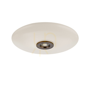 PURE VITRUM 6083-34 Braune Deckenleuchte, 2xLED small 15