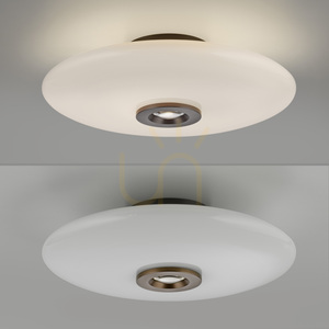 PURE VITRUM 6083-34 Braune Deckenleuchte, 2xLED small 16