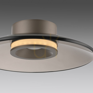 PURE MOON 6094-97 Braune Deckenleuchte, 2xLED small 19