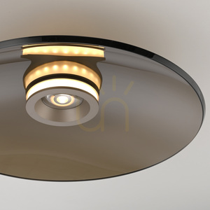 PURE MOON 6095-97 Braune Deckenleuchte, 2xLED 19 PURE MOON 6095-97 Braune Deckenleuchte, 2xLED small 19