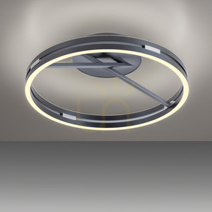 PURE LOOP 6552-15 Deckenleuchte, grau, 2xLED 19 PURE LOOP 6552-15 Deckenleuchte, grau, 2xLED small 19