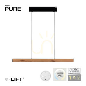 PURE E-MOTION 2570-79 Schwarz 2xLED-Pendelleuchte small 1