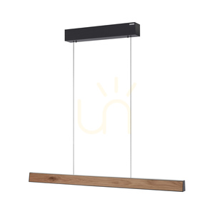PURE E-MOTION 2570-79 Schwarz 2xLED-Pendelleuchte small 7