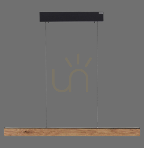 Prüfen PURE E-MOTION 2570-79 Schwarz 2xLED-Pendelleuchte