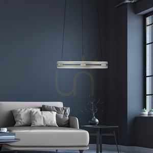 PURE E-LOOP 2550-95 Silber 2xLED-Pendelleuchte small 2
