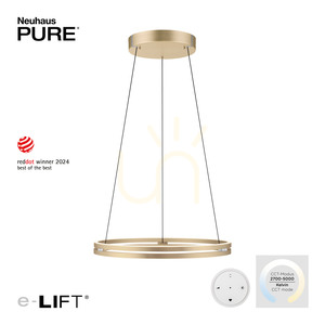 PUREE-LOOP 2551-60 Pendelleuchte aus Messing mit 2 LEDs small 1