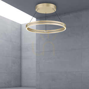 PUREE-LOOP 2551-60 Pendelleuchte aus Messing mit 2 LEDs small 11